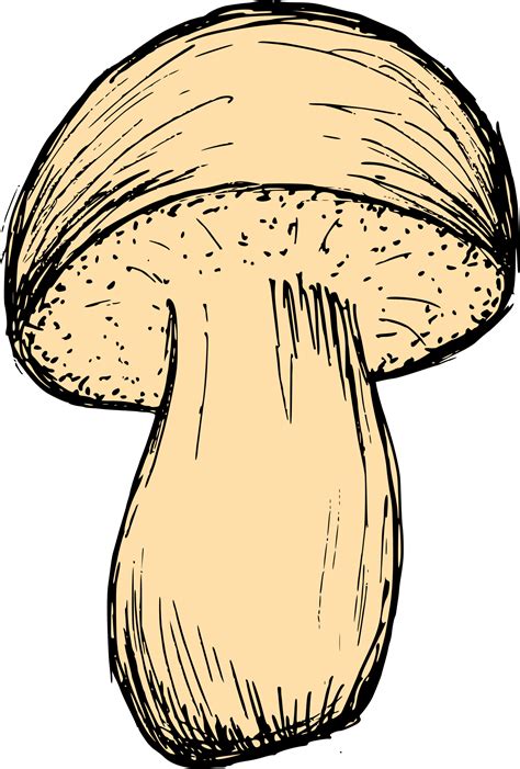 Mushroom Drawing Vector (EPS, SVG, PNG Transparent) | OnlyGFX.com