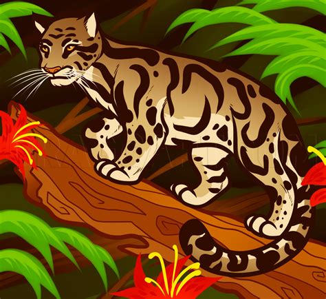 How To Draw A Clouded Leopard Clouded Leopard Step By Step Drawing