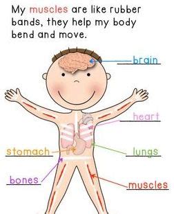 The body is a thing that can be hurt or killed. Effective and Creative Lesson Plans ! For Teachers By ...