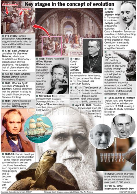 Darwin Evolution Timeline Infographic