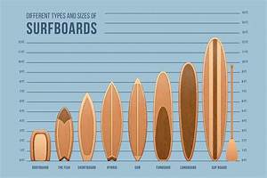 Surfboards Size And Type Chart Mural Poster 36x54 Inch Ebay