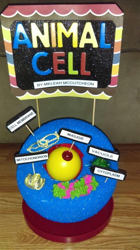 Animal Cell Model 5th Grade