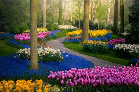 Maybe you would like to learn more about one of these? The Most Beautiful Flower Garden In The World Has No ...