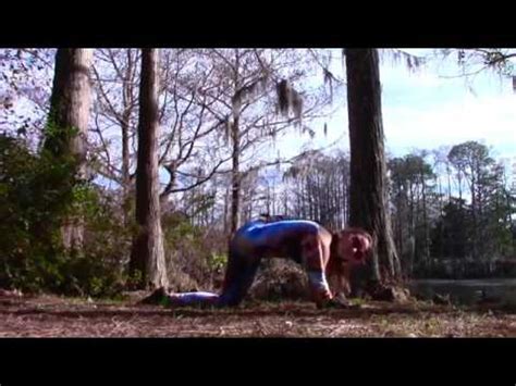 Beginner Yoga Lizard Stretch for Tight Hips and Hamstrings ...