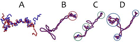 A topological twist in DNA melting