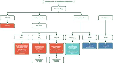 Cervical Cancer Esmo Clinical Practice Guidelines For Diagnosis