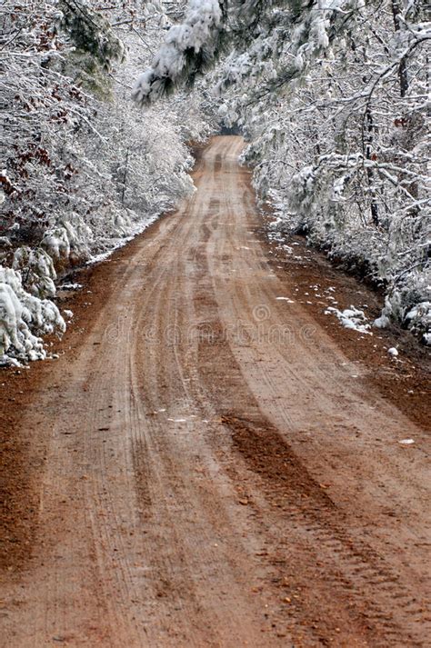Country Winter Tunnel Stock Image Image Of Road Distance 13937301