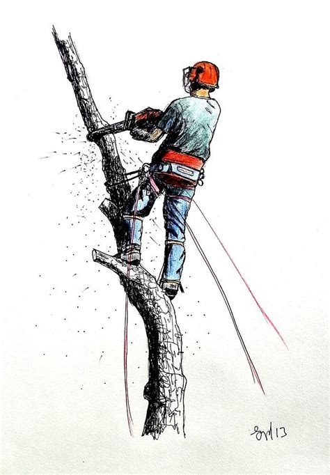 Pin By Larry Grant On Places To Visit Tree Surgeons Arborist Climbing Art