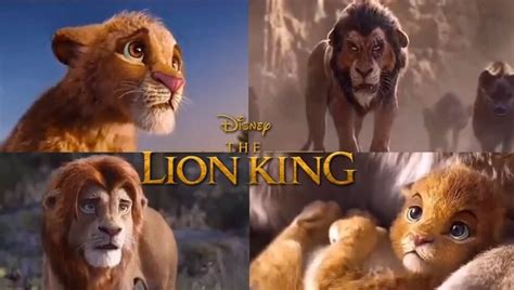 O Rei Leão Vídeo Mistura Live Action Com O Desenho Original