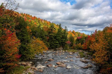 Gorgeous Fall Foliage 3 Upstate Ny Towns Named Among Best 50 Leaf