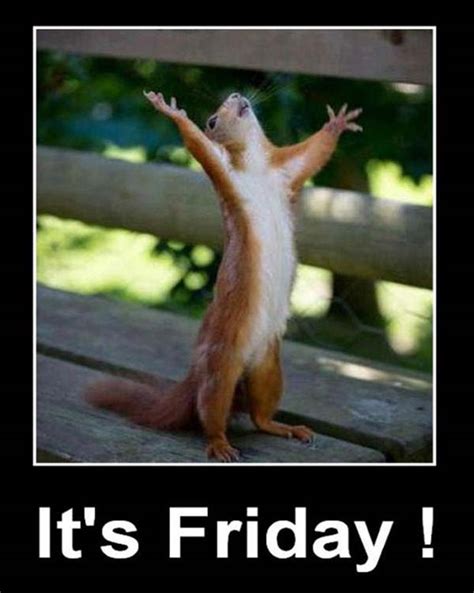 Its Friday Meme Friday Meme Pictures That Show We All Live For The Weekend Soulsistersstudios