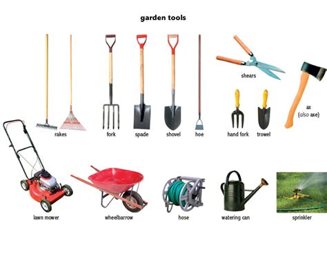 the best gardening tools [infographic] — home
