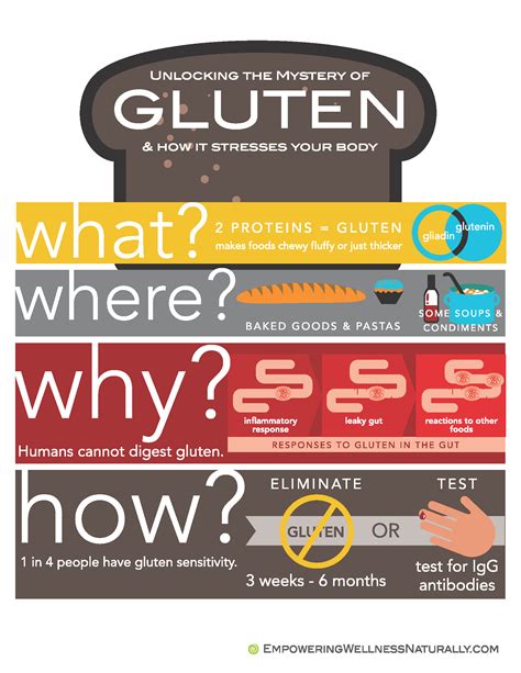 Unlocking The Mystery Of Gluten And How It Stresses Your Body Infographic