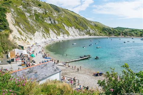 An English Summer In Lulworth Cove Its All Bee