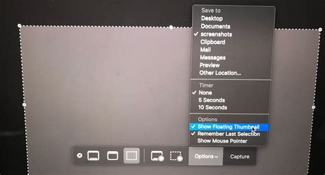 How To Remove The Mac Os X Screenshot Delay Sal Ferrarello