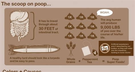 Viralitytoday What The Shape Of Your Poop Says About Your Health