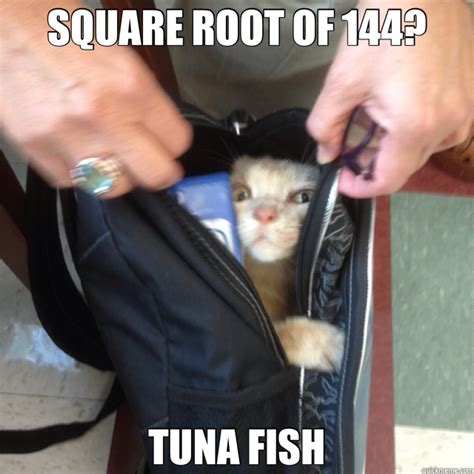 The square root calculator is used to find the square root of the number you enter. SQUARE ROOT OF 144? TUNA FISH - Cheating Cat - quickmeme