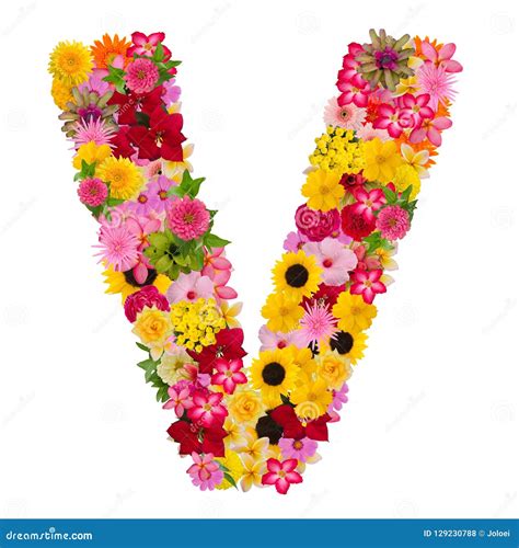 Letter V Alphabet With Flower Abc Concept Type As Logo Isolated Stock