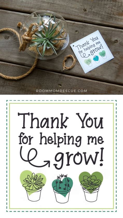 Thank You For Helping Me Grow Card With Succulents And An Air Plant
