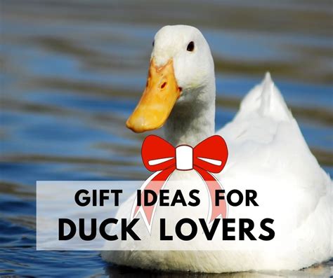 30 T Ideas For Duck Lovers Life Is Just Ducky