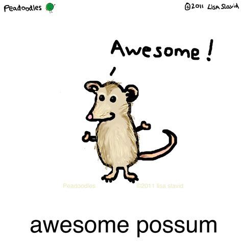Awesome Possum! #peadoodles #awesome #awesomepossum #possum | Awesome ...