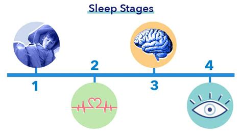 A Kids Guide To Understanding Sleep Sleepopolis