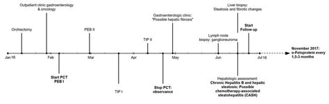 Overview Of The Treatment Timeline Including Biopsies Clinical
