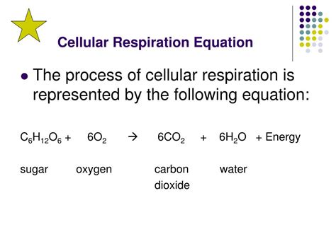 Cellular Respiration Equation