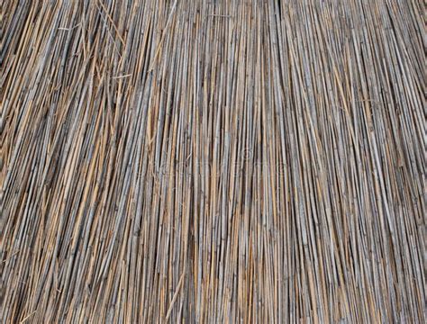 Background Of Thatched Roof Dry Grass Or Hay Texture Of Dried Grass