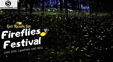 Fireflies Festival Bhandardara
