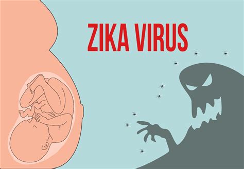 10 Things You Need To Know About Zika Virus And Pregnancy Facty Health