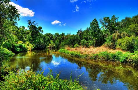 River Nature Sky Forest Wallpapers Hd Desktop And