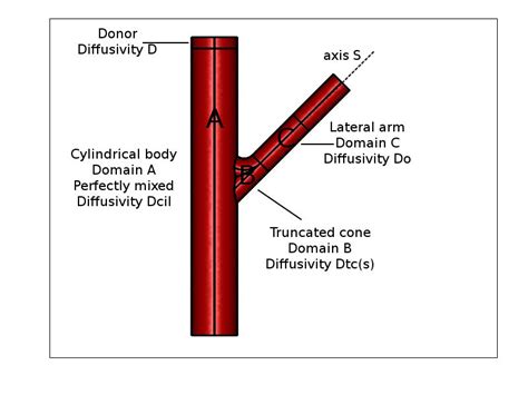 Schematic Representation Of Different Domains In A Franz Cell Donor