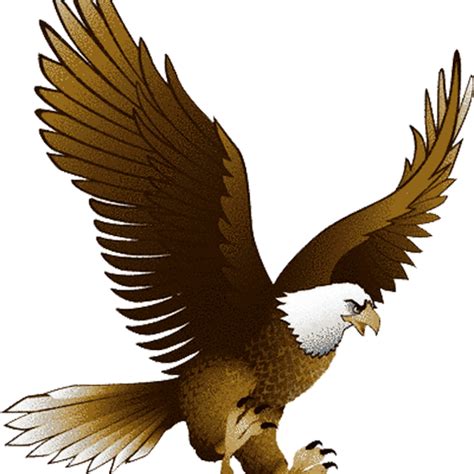 Eagle Free Clipart Clip Art On Transparent Png Eagle Landing Clip Art Images And Photos Finder