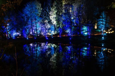 Enchanted Forest Faskally Wood Pitlochry James Lynott Flickr