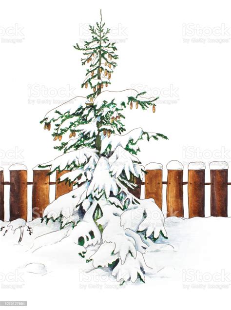 Fir Tree And Snow Hand Sketched Illustration Stock Illustration