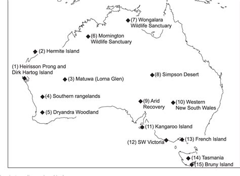 Pdf Impacts And Management Of Feral Cats Felis Catus In Australia