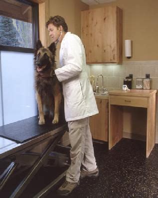 We did not find results for: All Dogs & Cats Veterinary Hospital Glenwood Springs ...