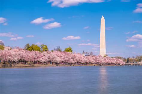 2019 National Cherry Blossom Festival Begins March 20