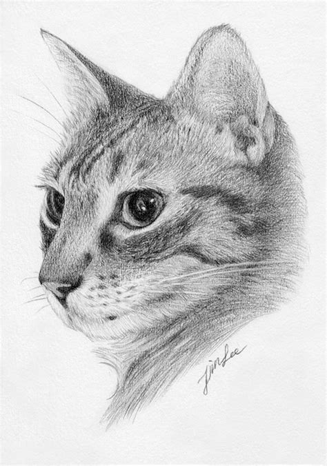 Custom Cat Portrait Pencil Drawing Pet Drawing Pencil Etsy Cats Art