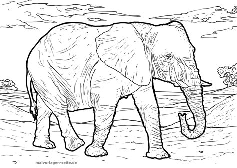 Diese nasen ähneln dem schlauch und dieser schlauch hilft ihnen zu atmen. Malvorlage Elefant | Tiere - Kostenlose Ausmalbilder
