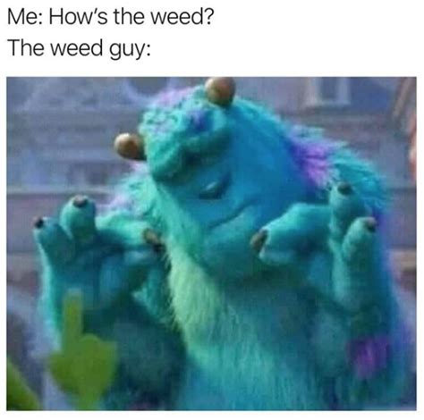 Hows The Weed Pleased Sulley Know Your Meme