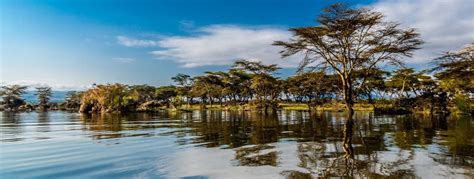 Lake naivasha national park also called sheer adventure is located in the raising part of the great lake naivasha national park has unique features like an extinct volcano called mount longonot, a. Lake Naivasha Safari | Kenya | Africa Sky