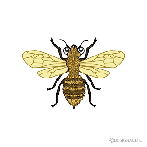 70以上 かっこいい スズメバチ 蜂 イラスト 191540 Jpsaepictkk2g