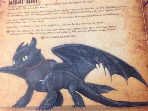 Toothless The Night Fury From The Book Of Dragons Of How To Train Your