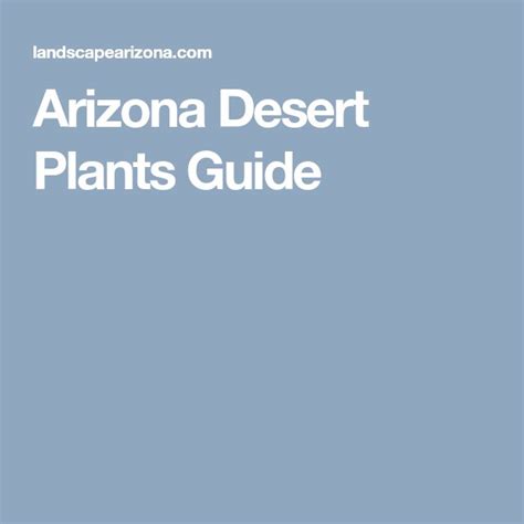 Arizona Desert Plants Guide Desert Plants Plant Guide Plants