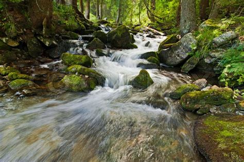 Mountain River Flowing At Summer Forest Landscape Stock Photo Colourbox