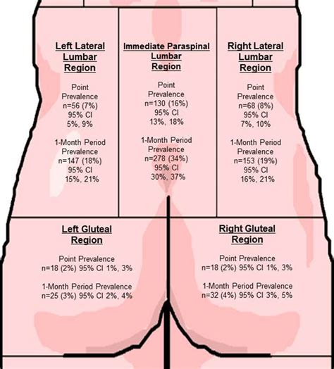 The chest is separated from the abdomen by the diaphragm. Point prevalence and 1-month period prevalence of low back ...