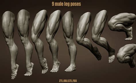 9 Male Legs 3d Model Cgtrader