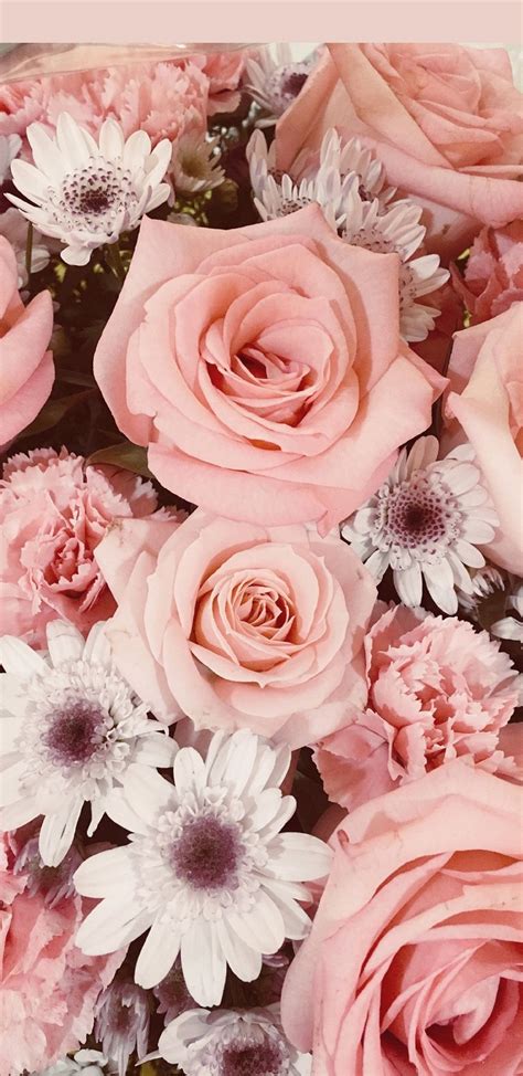 Enjoy the simple beauty of the rose each time you glance at your phone with these beautiful rose wallpapers! Pin by Alexa Ensz on Roses Wallpaper 2 | Floral wallpaper ...